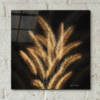 Epic Art 'Golden Grass II' by Lori Deiter, Acrylic Glass Wall Art,12x12