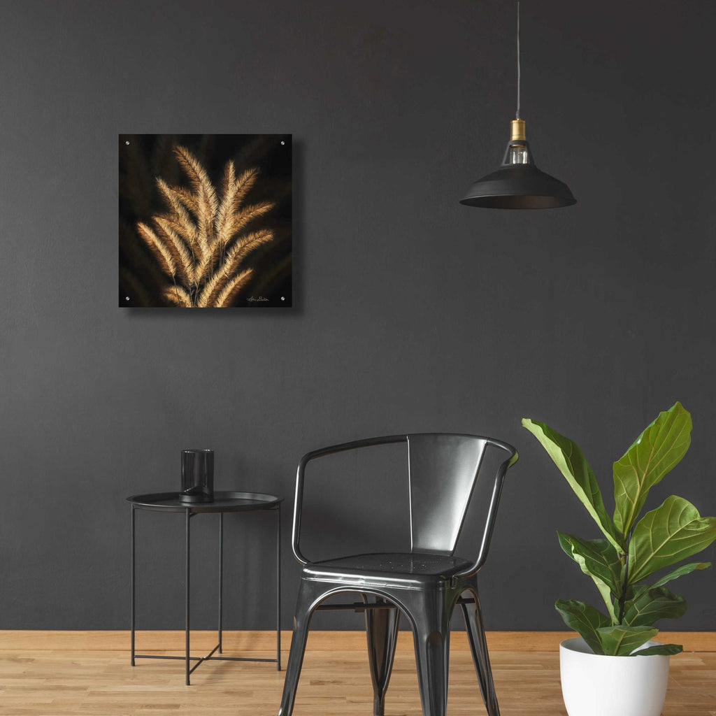 Epic Art 'Golden Grass II' by Lori Deiter, Acrylic Glass Wall Art,24x24
