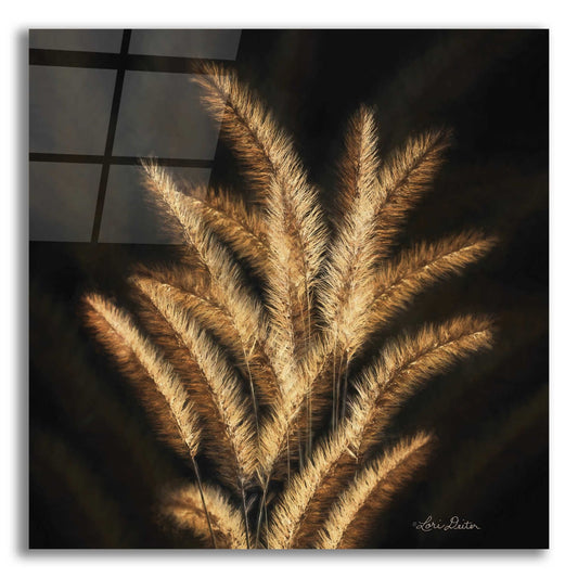 Epic Art 'Golden Grass II' by Lori Deiter, Acrylic Glass Wall Art