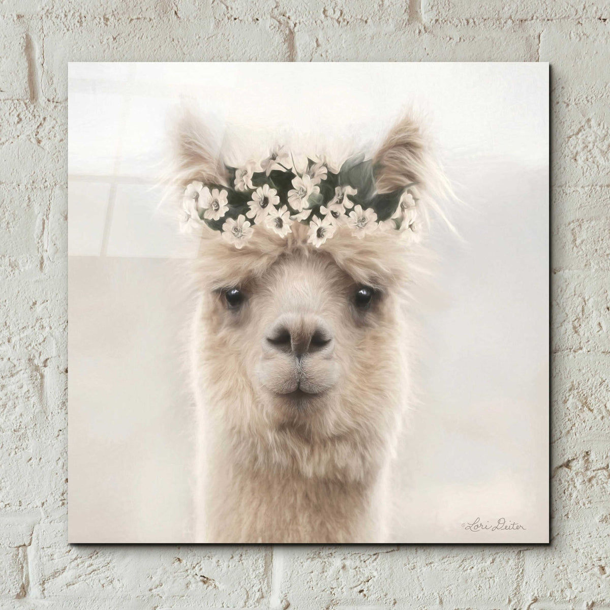 Epic Art 'Alpaca with Flowers' by Lori Deiter, Acrylic Glass Wall Art,12x12