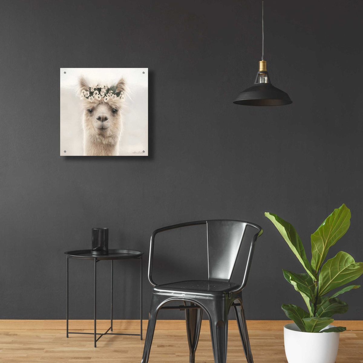Epic Art 'Alpaca with Flowers' by Lori Deiter, Acrylic Glass Wall Art,24x24