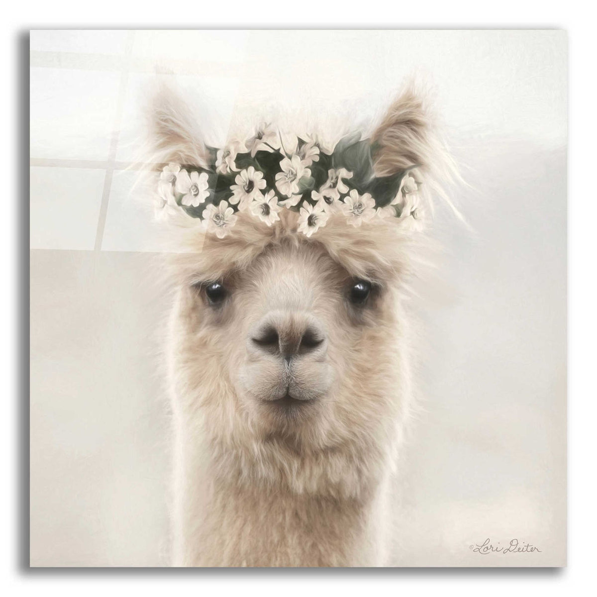 Epic Art 'Alpaca with Flowers' by Lori Deiter, Acrylic Glass Wall Art