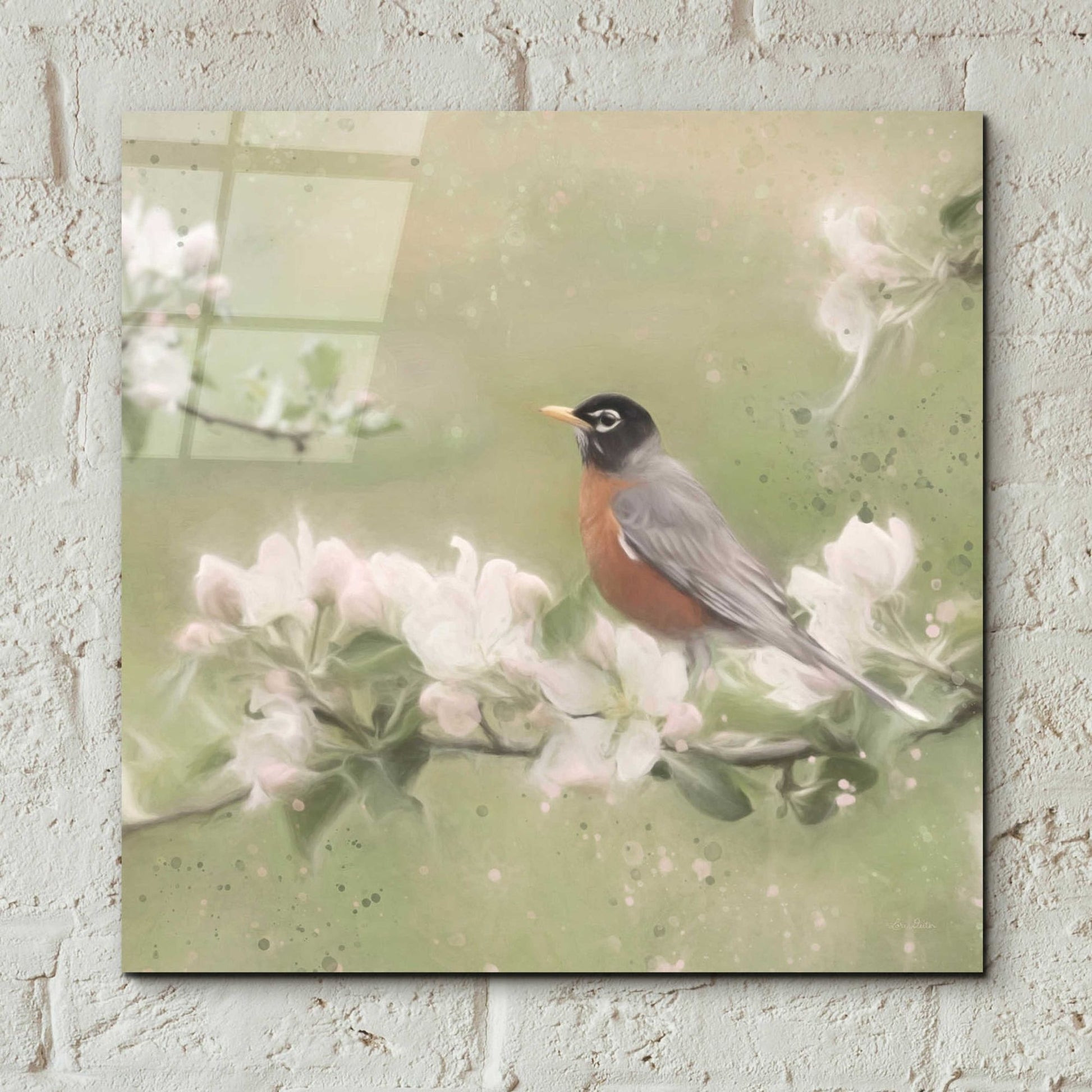 Epic Art 'Springtime Robin' by Lori Deiter, Acrylic Glass Wall Art,12x12