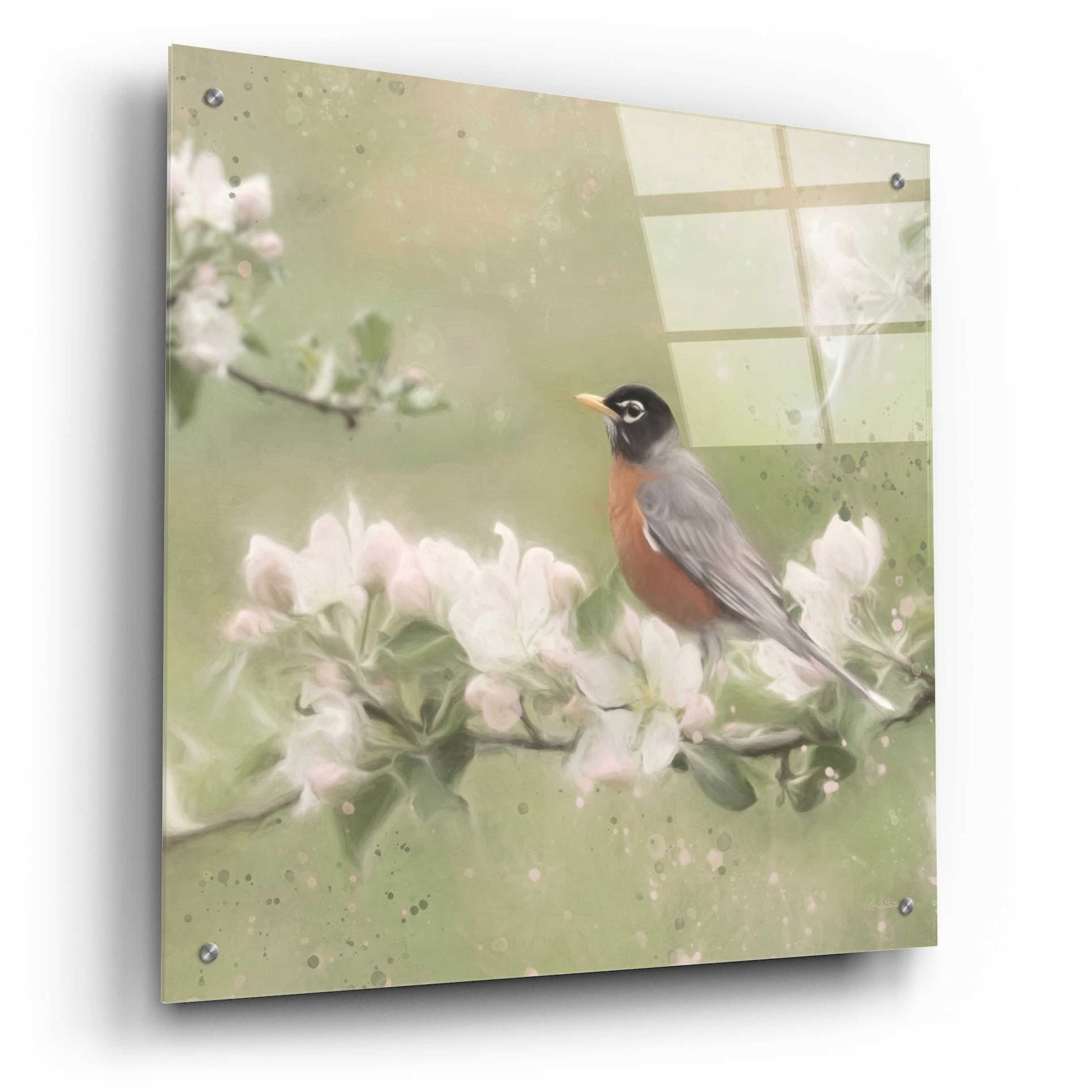 Epic Art 'Springtime Robin' by Lori Deiter, Acrylic Glass Wall Art,24x24