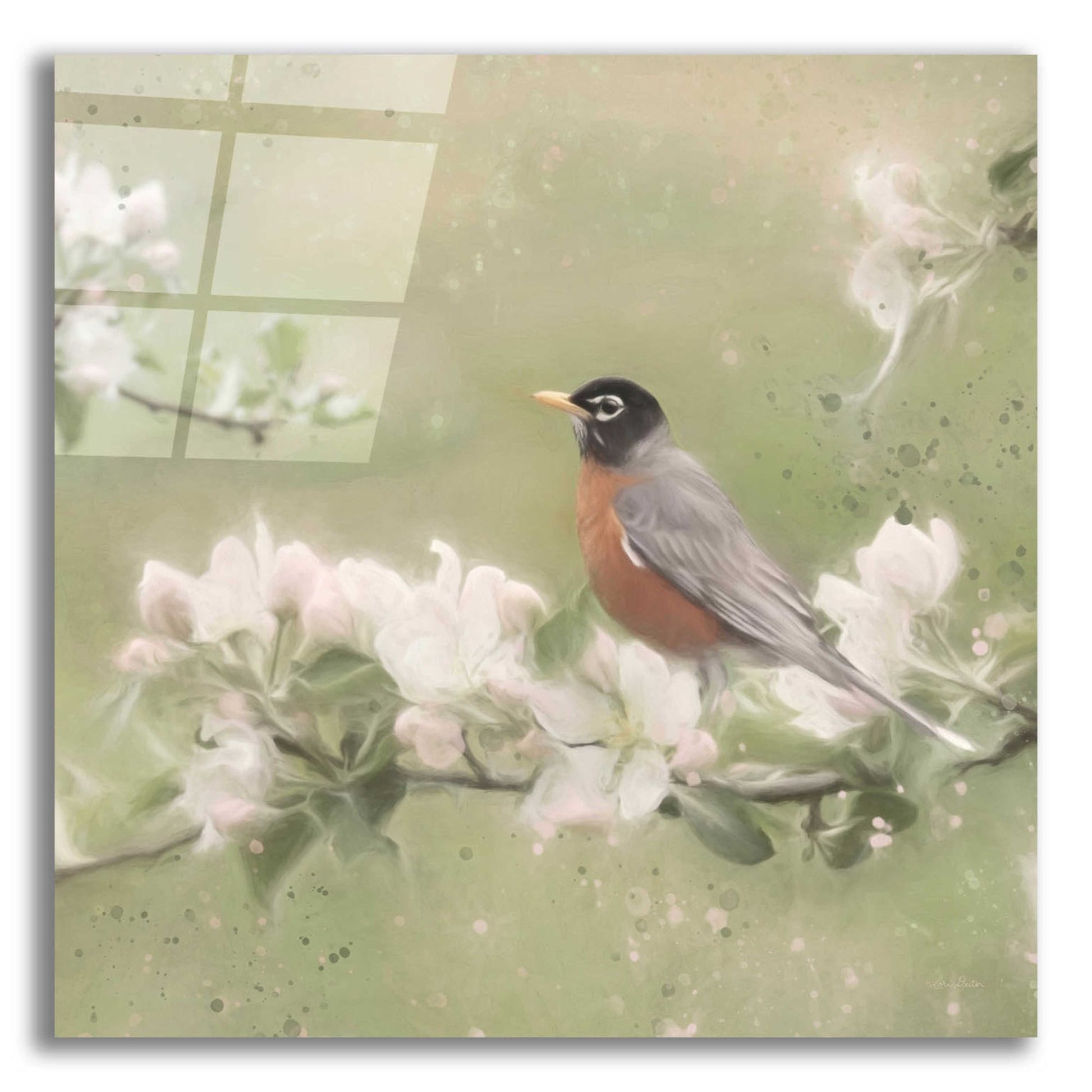 Epic Art 'Springtime Robin' by Lori Deiter, Acrylic Glass Wall Art