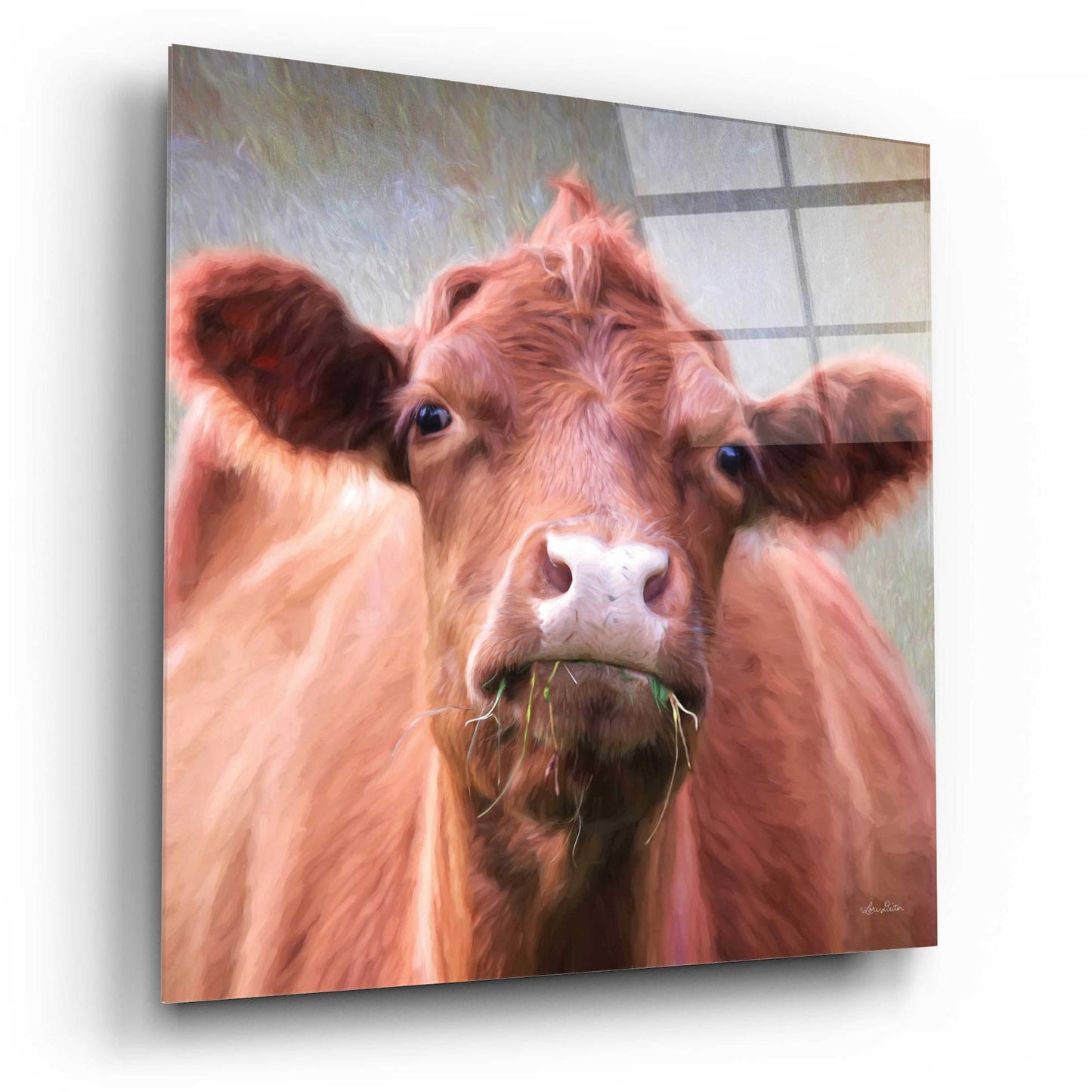 Epic Art 'The Brown Cow' by Lori Deiter, Acrylic Glass Wall Art,12x12