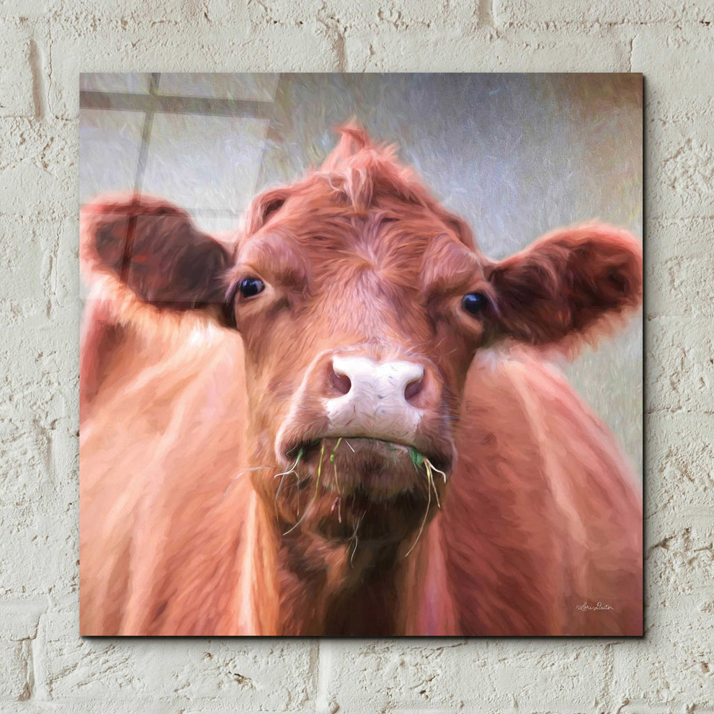 Epic Art 'The Brown Cow' by Lori Deiter, Acrylic Glass Wall Art,12x12