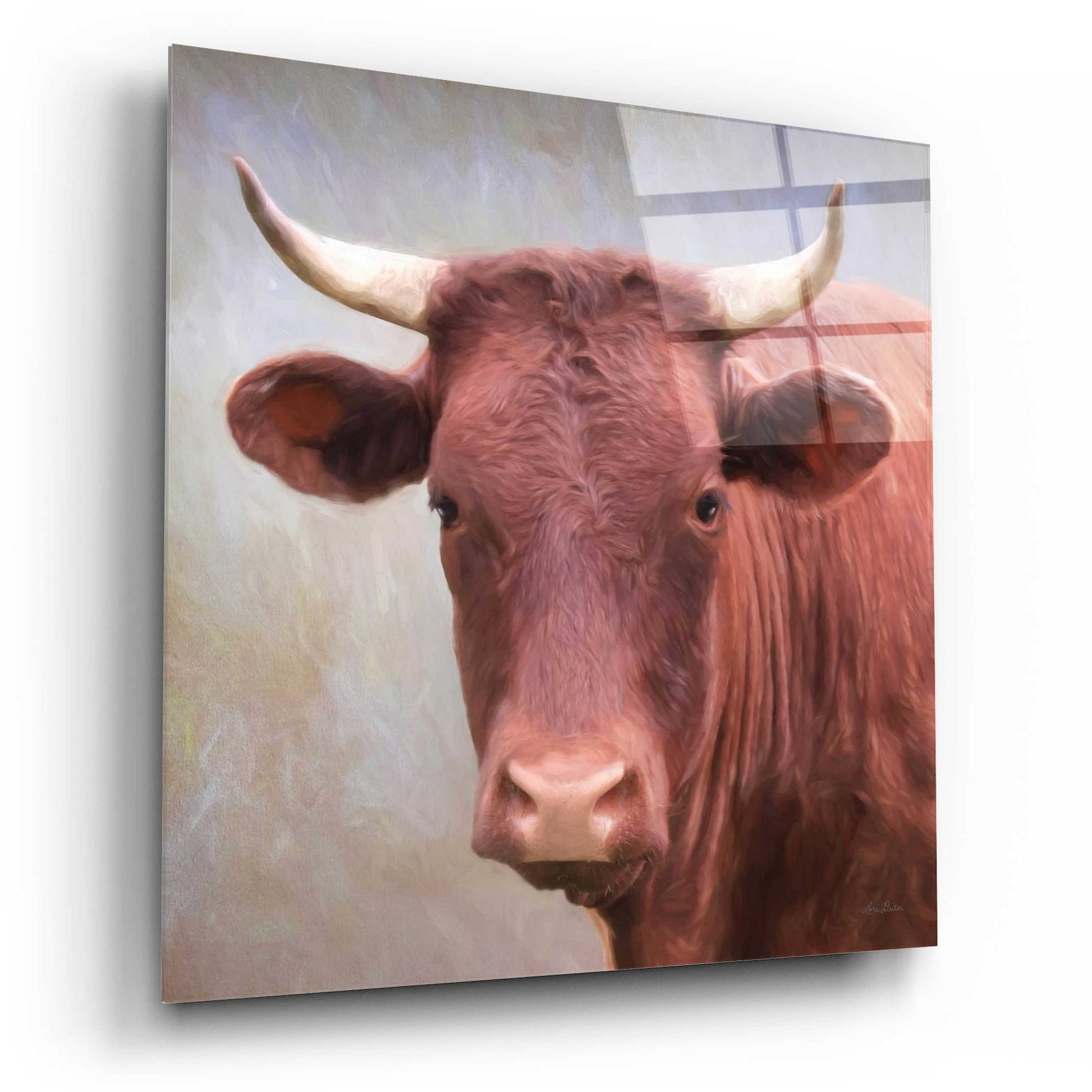 Epic Art 'Bull Face' by Lori Deiter, Acrylic Glass Wall Art,12x12