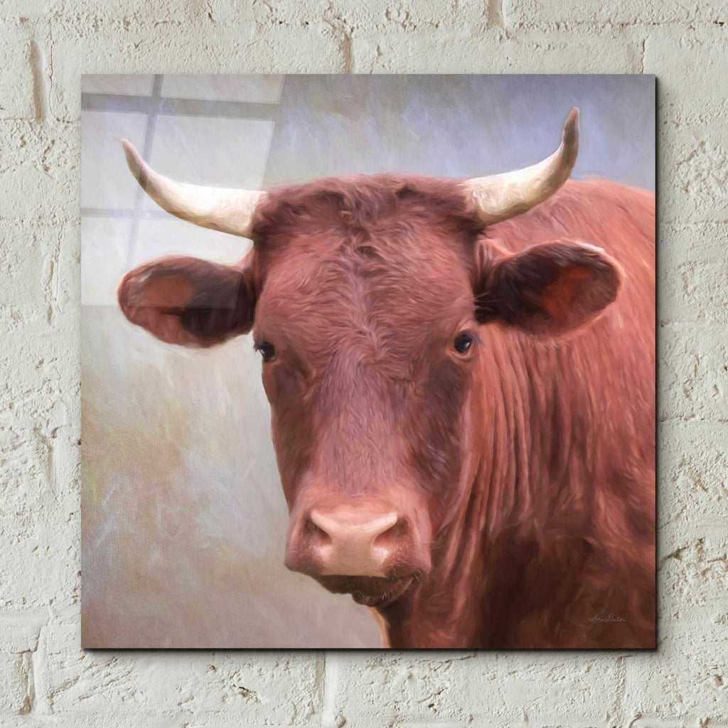 Epic Art 'Bull Face' by Lori Deiter, Acrylic Glass Wall Art,12x12