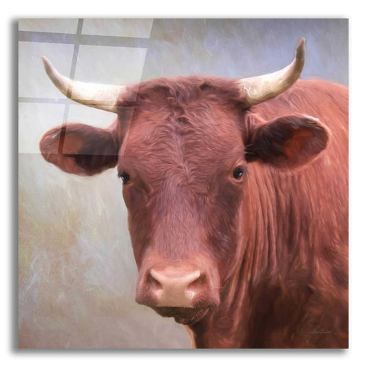 Epic Art 'Bull Face' by Lori Deiter, Acrylic Glass Wall Art
