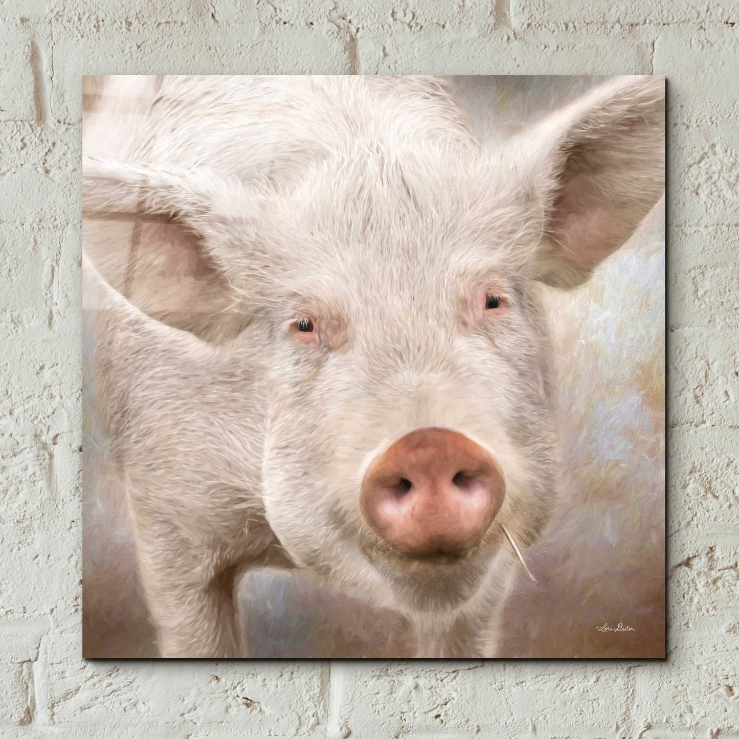 Epic Art 'Pig Face' by Lori Deiter, Acrylic Glass Wall Art,12x12