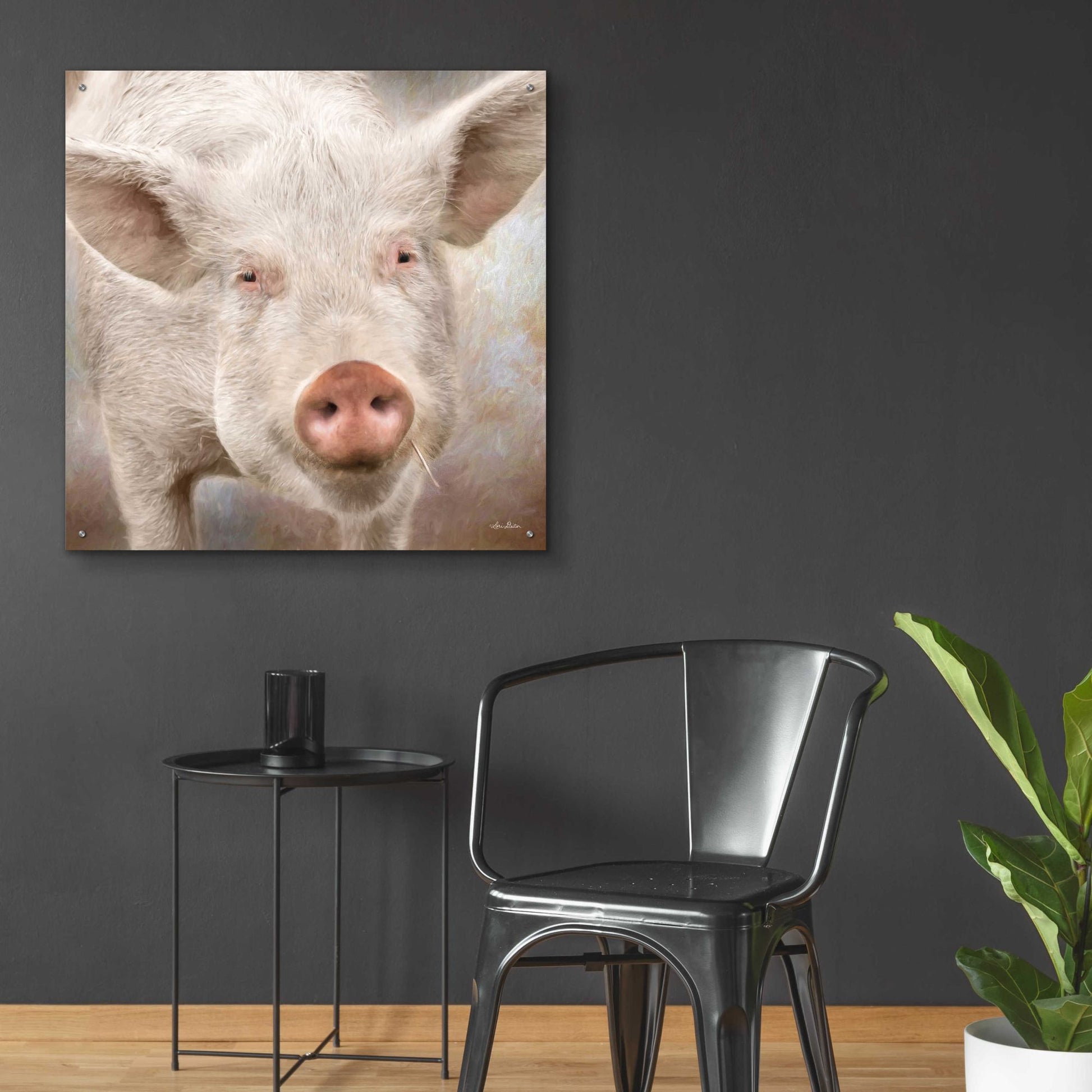 Epic Art 'Pig Face' by Lori Deiter, Acrylic Glass Wall Art,36x36