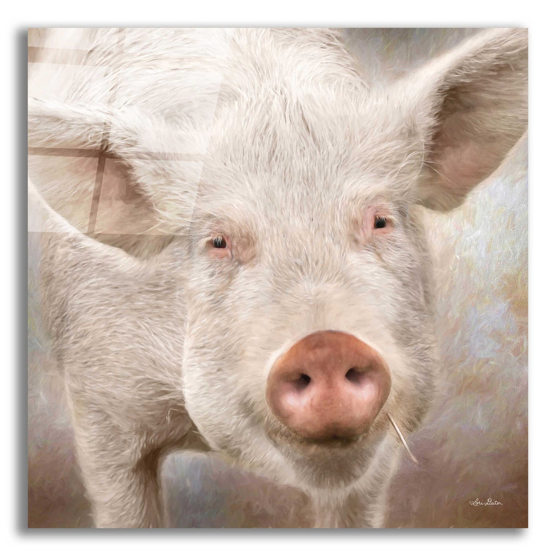 Epic Art 'Pig Face' by Lori Deiter, Acrylic Glass Wall Art