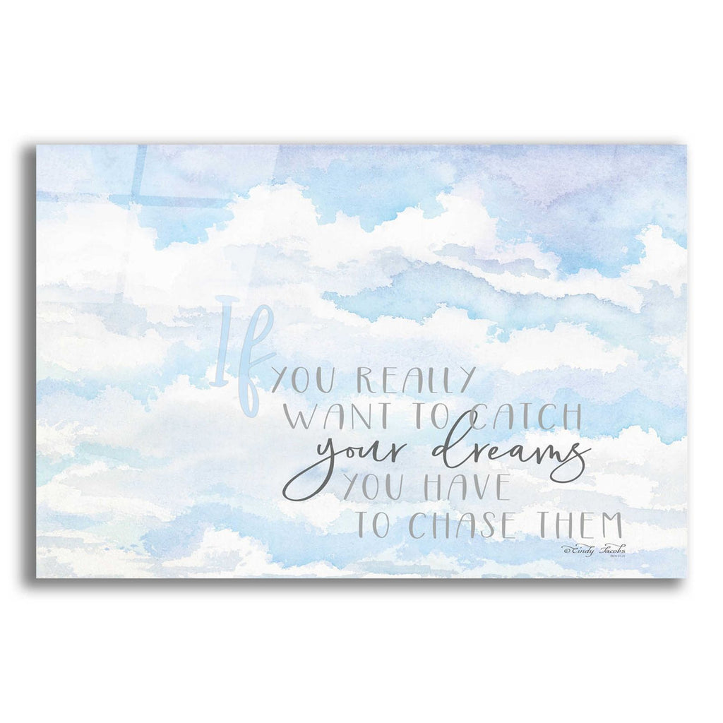 Chase Your Dreams by Cindy Jacobs acrylic glass wall art
