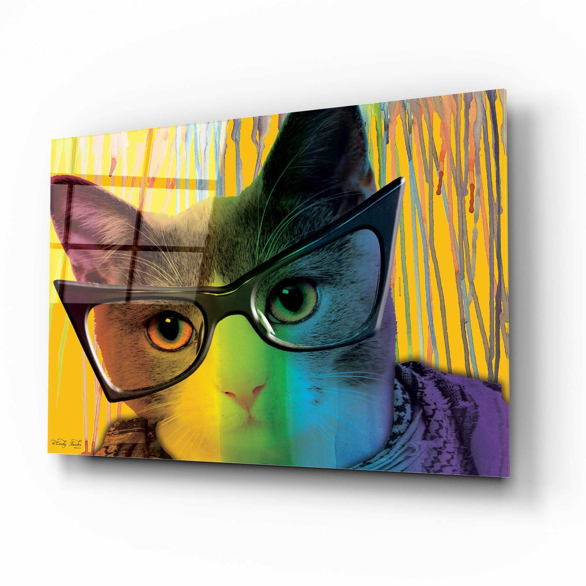 Epic Art 'Cat in Glasses' by Cindy Jacobs, Acrylic Glass Wall Art,16x12