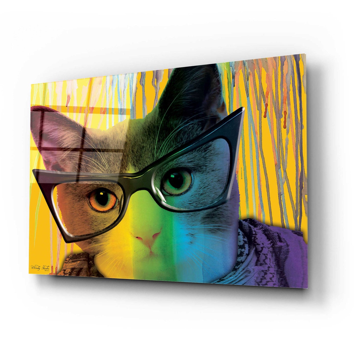 Epic Art 'Cat in Glasses' by Cindy Jacobs, Acrylic Glass Wall Art,24x16