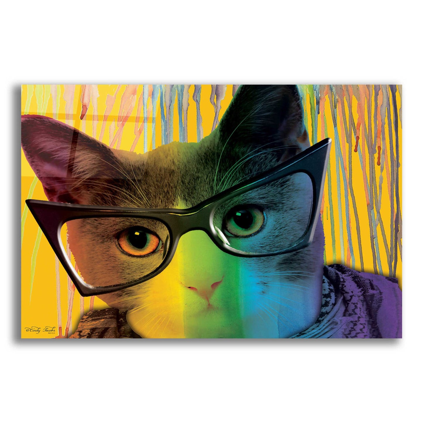 Epic Art 'Cat in Glasses' by Cindy Jacobs, Acrylic Glass Wall Art,24x16