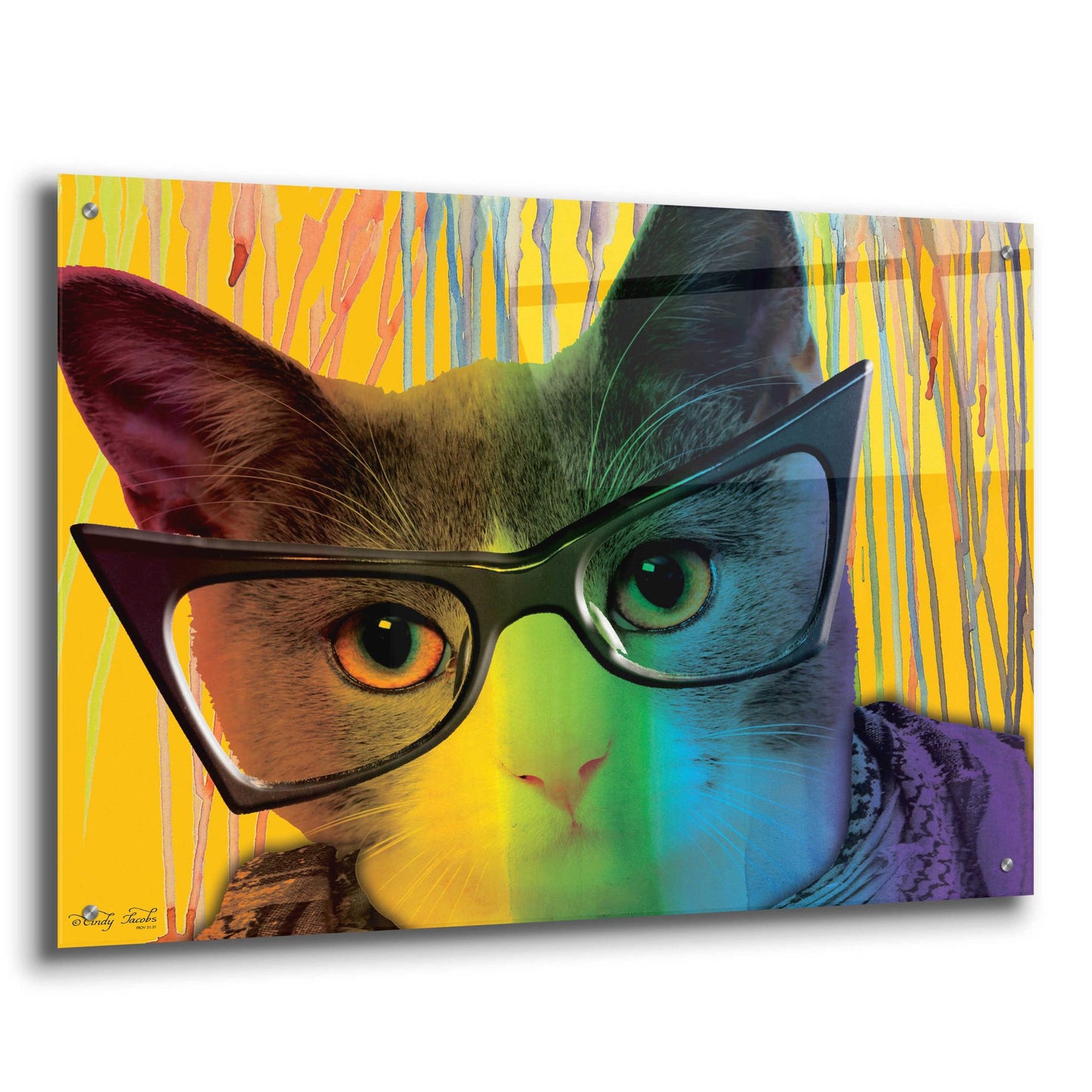 Epic Art 'Cat in Glasses' by Cindy Jacobs, Acrylic Glass Wall Art,36x24