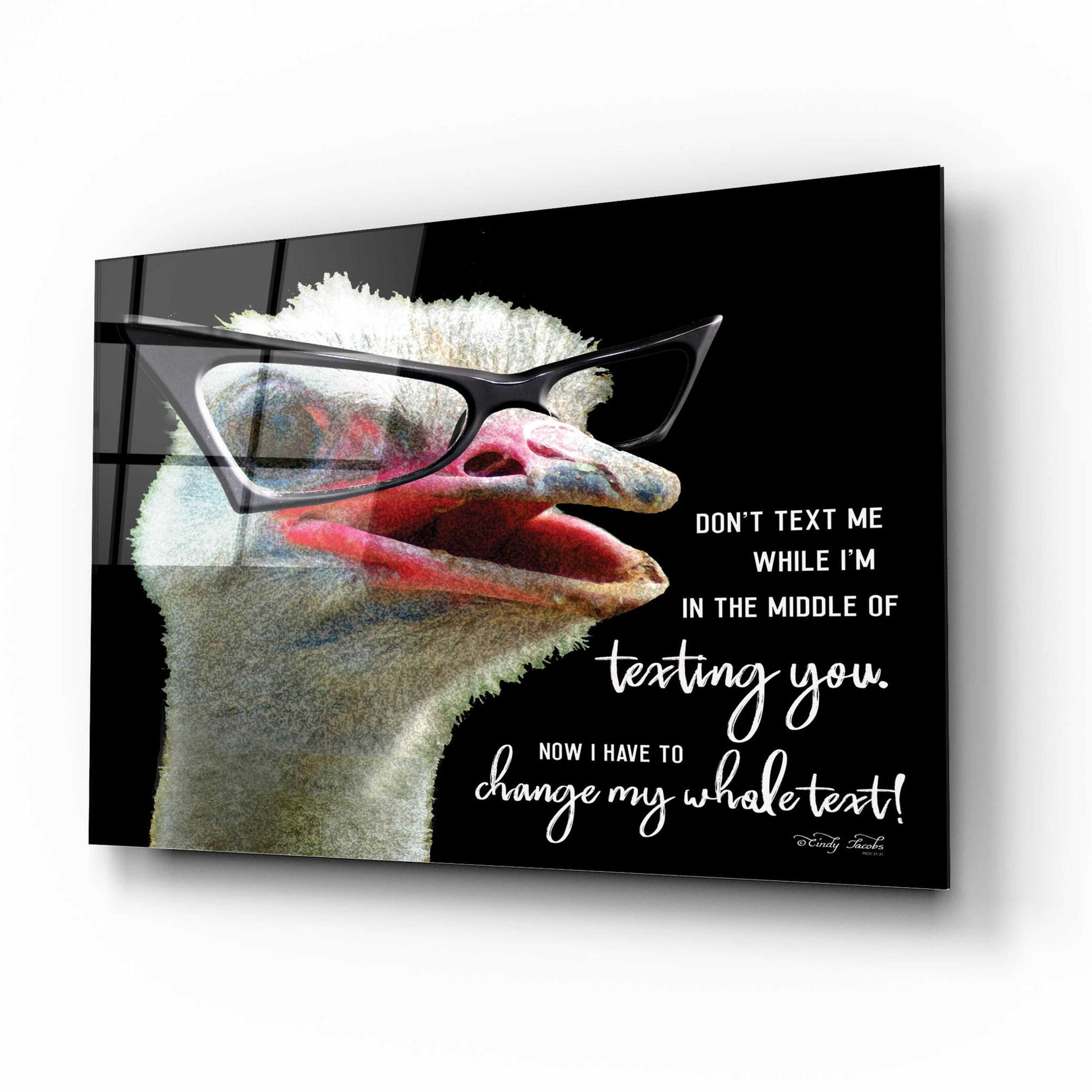 Epic Art 'Ostrich Don't Text Me' by Cindy Jacobs, Acrylic Glass Wall Art,16x12