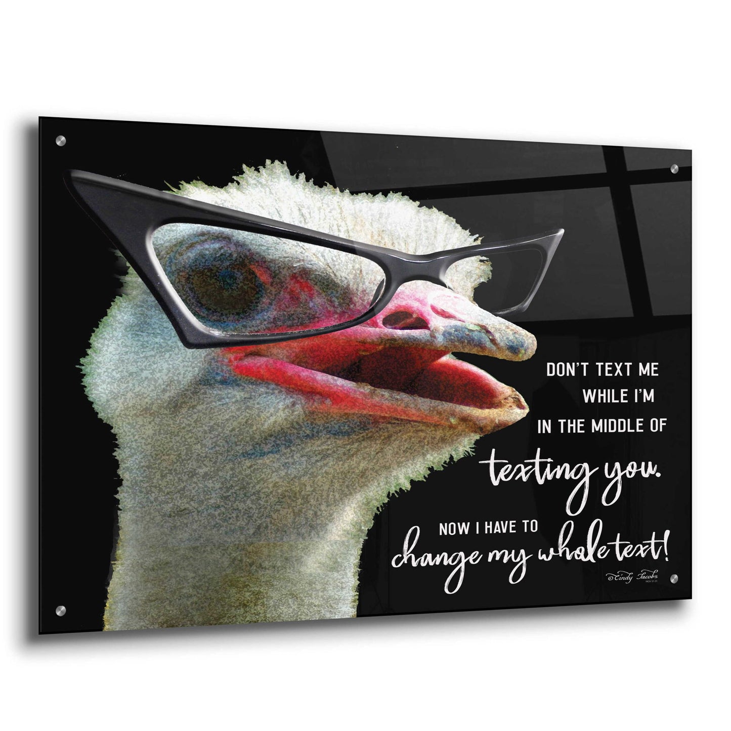 Epic Art 'Ostrich Don't Text Me' by Cindy Jacobs, Acrylic Glass Wall Art,36x24