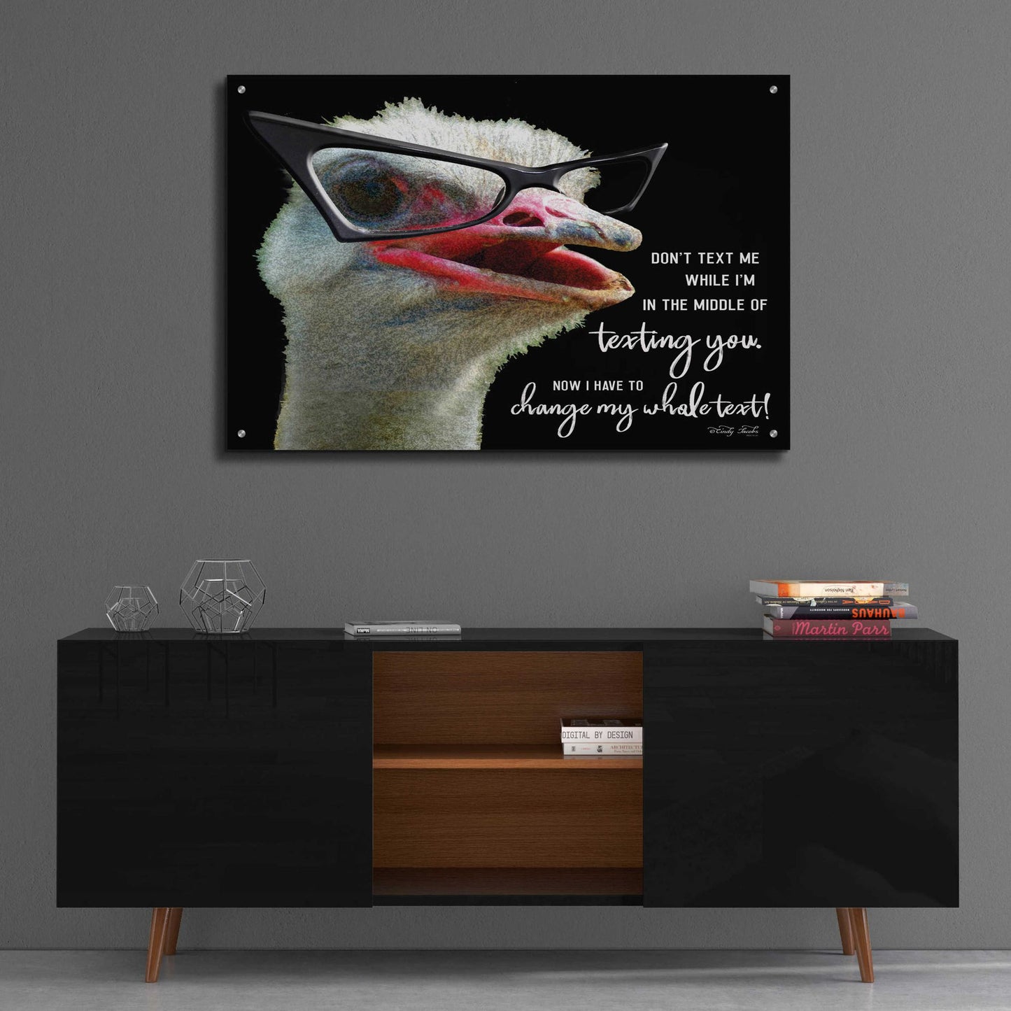 Epic Art 'Ostrich Don't Text Me' by Cindy Jacobs, Acrylic Glass Wall Art,36x24