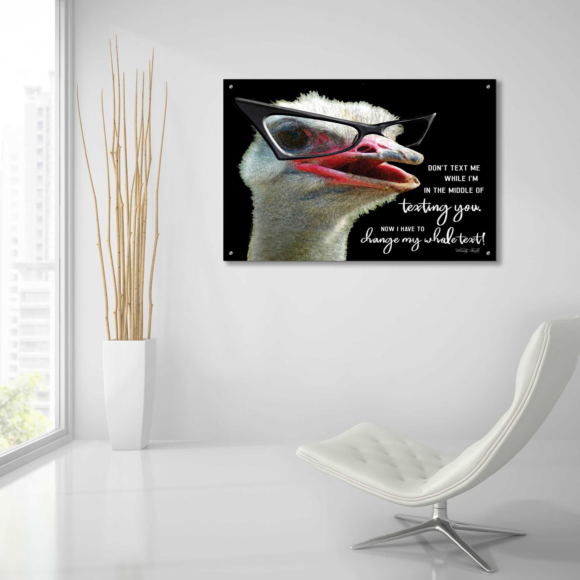 Epic Art 'Ostrich Don't Text Me' by Cindy Jacobs, Acrylic Glass Wall Art,36x24