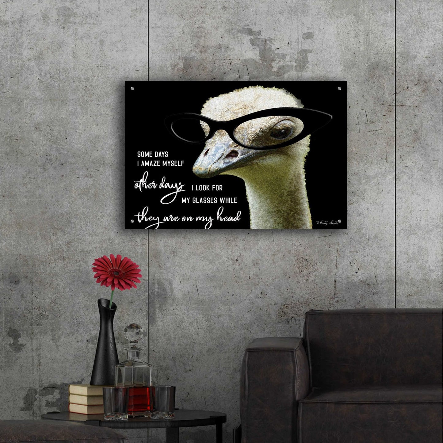 Epic Art 'Ostrich Some Days I Amaze Myself' by Cindy Jacobs, Acrylic Glass Wall Art,36x24