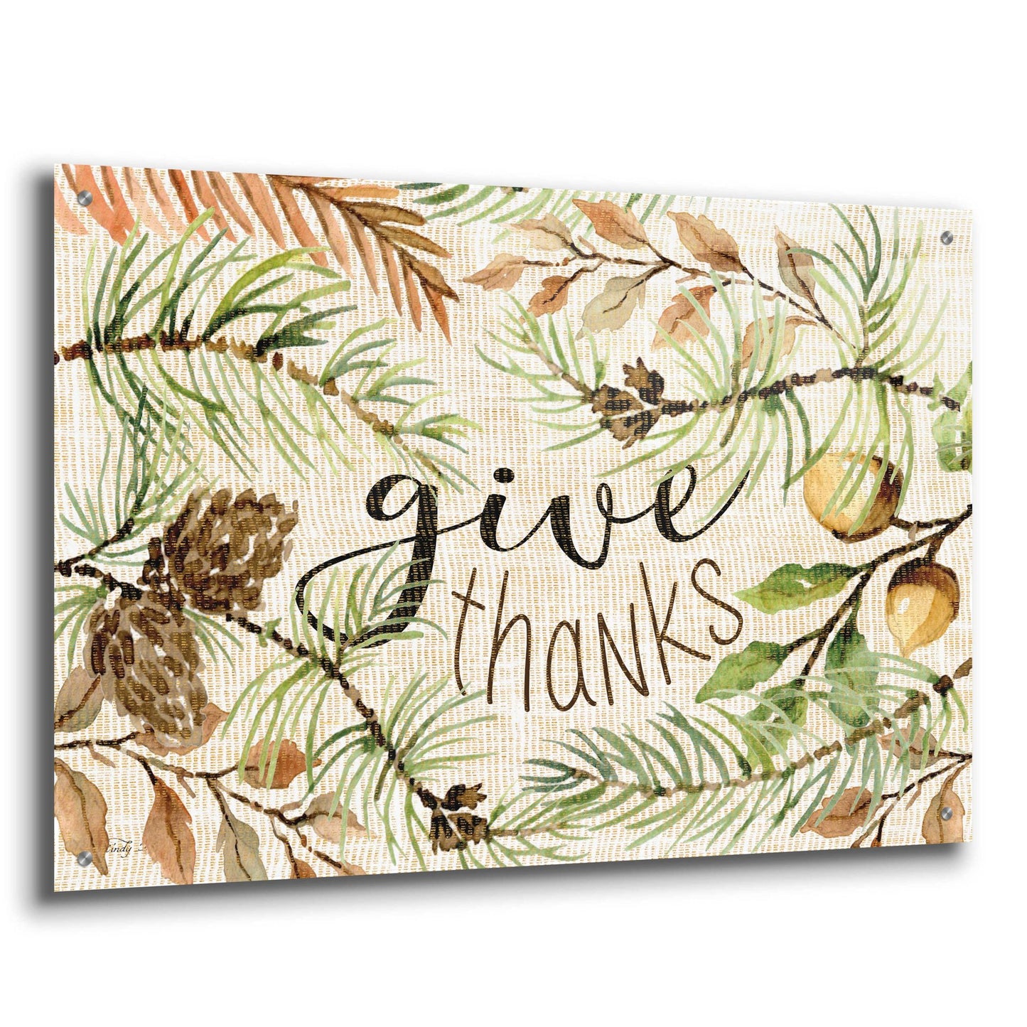 Epic Art 'Give Thanks' by Cindy Jacobs, Acrylic Glass Wall Art,36x24