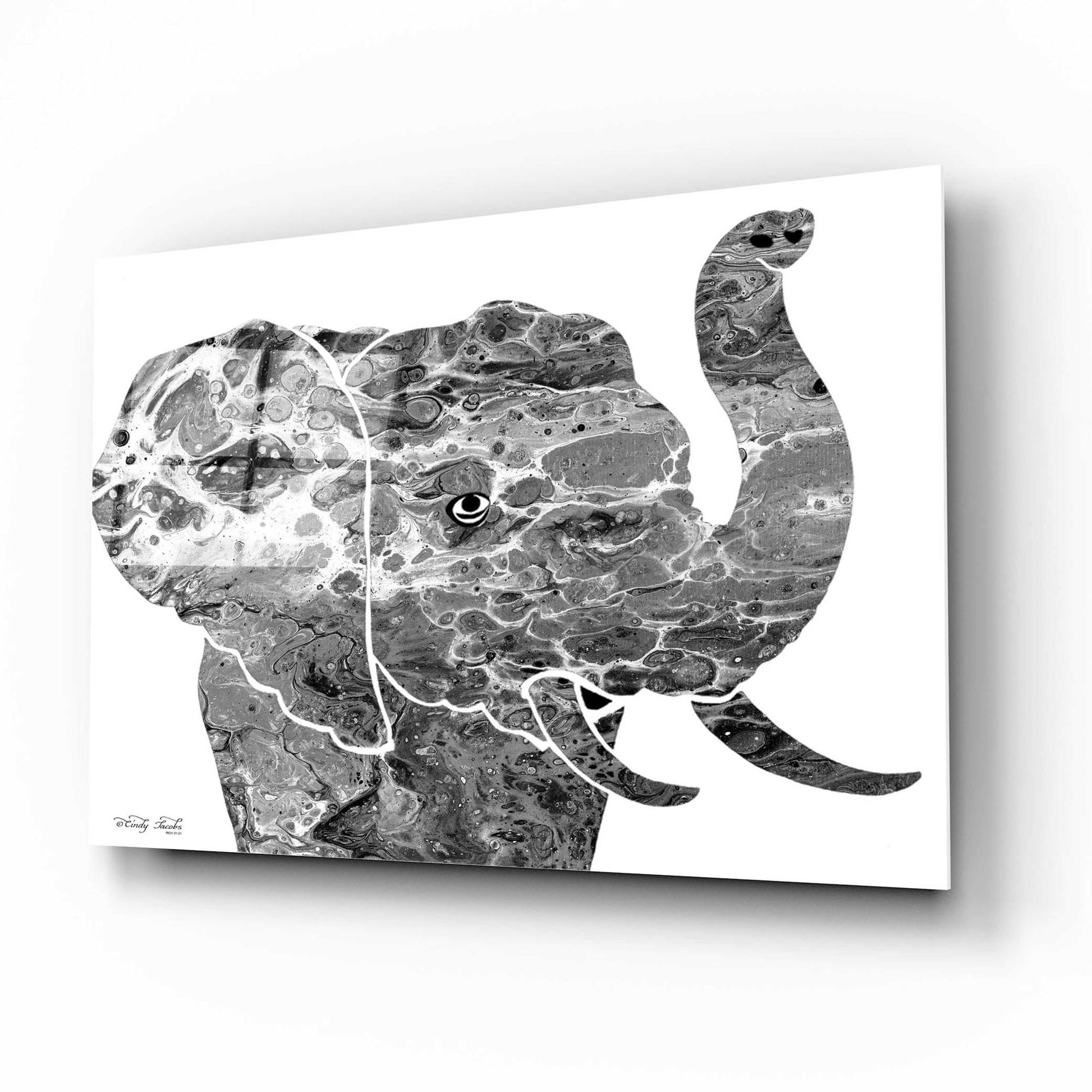 Epic Art 'Bright Elephant' by Cindy Jacobs, Acrylic Glass Wall Art,16x12