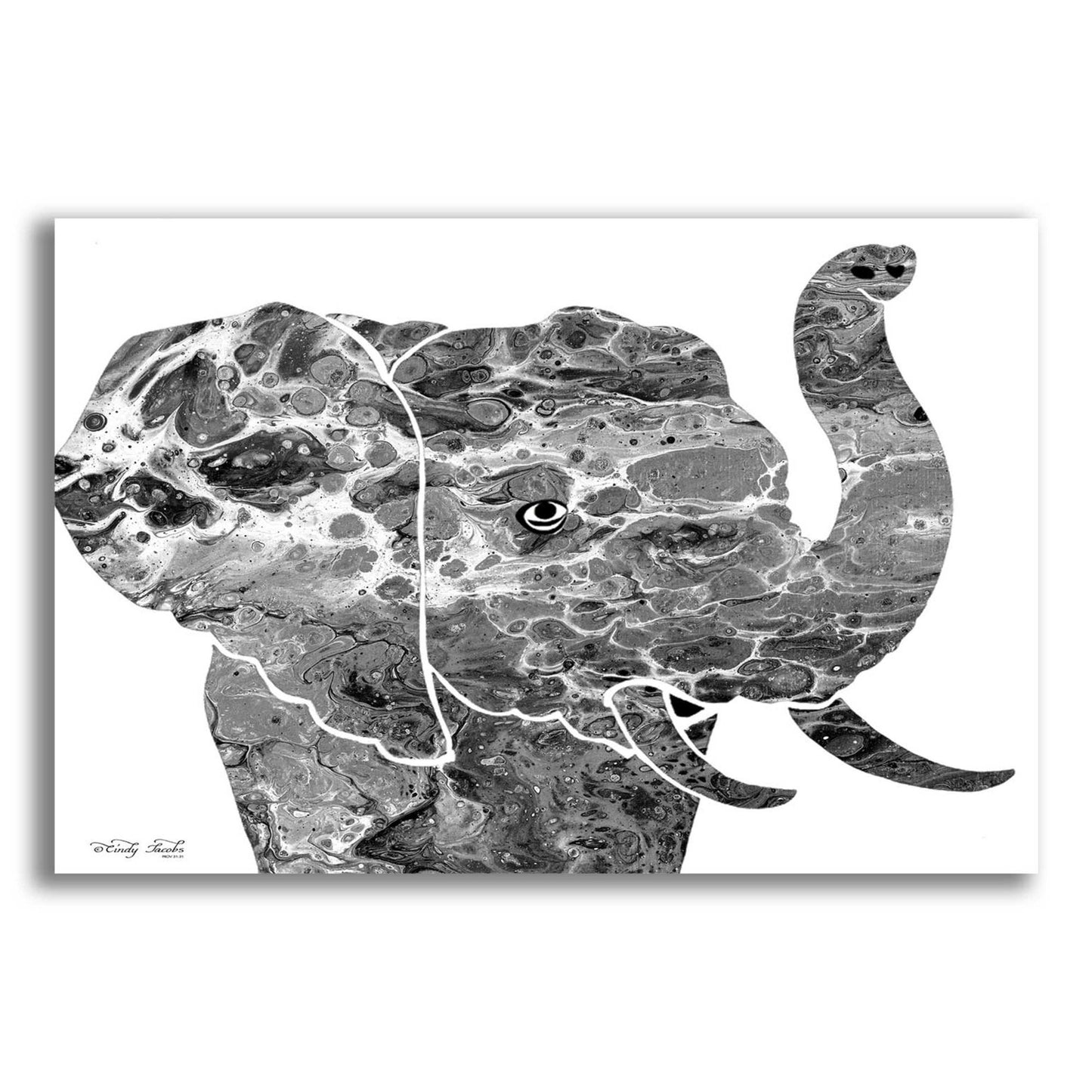 Epic Art 'Bright Elephant' by Cindy Jacobs, Acrylic Glass Wall Art,24x16