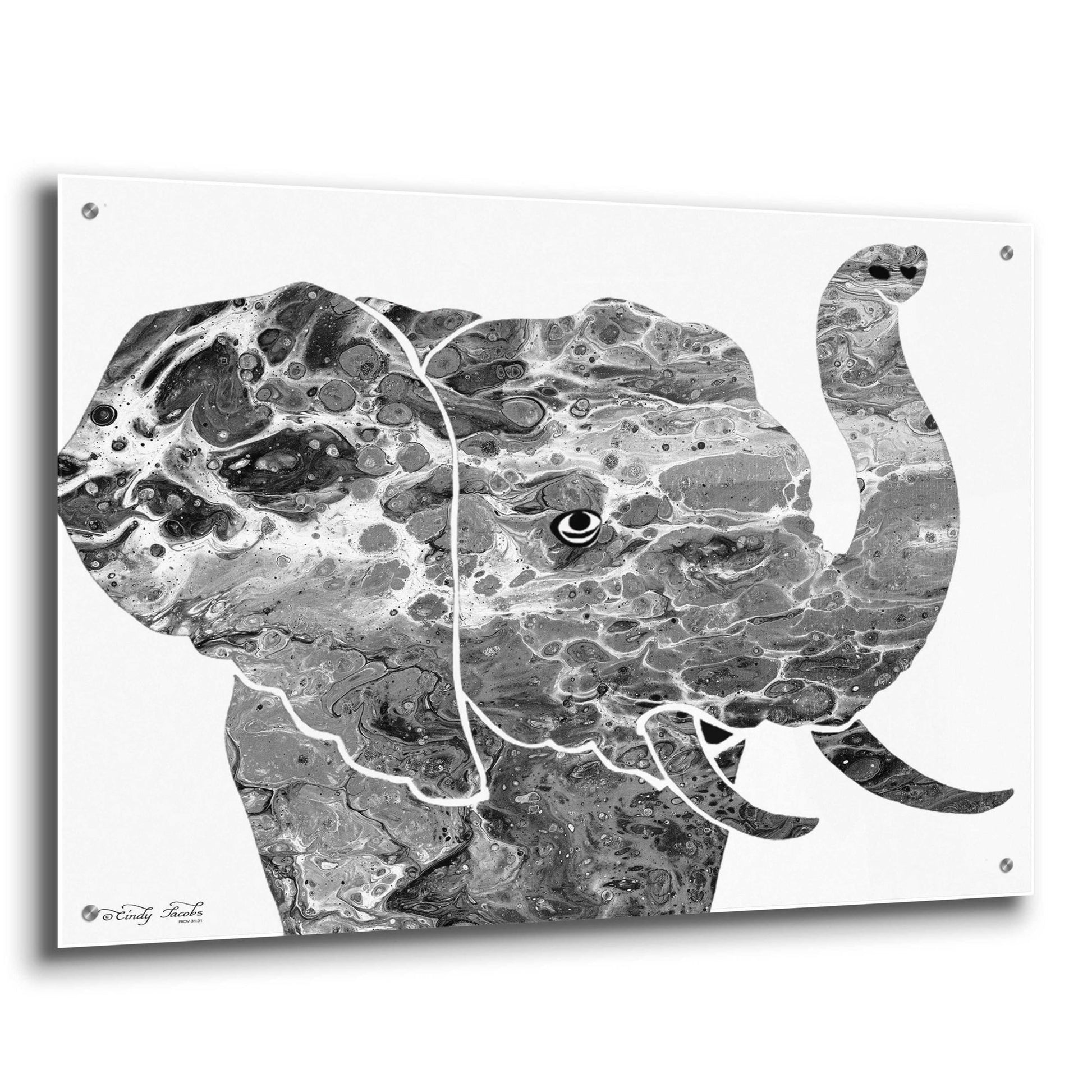 Epic Art 'Bright Elephant' by Cindy Jacobs, Acrylic Glass Wall Art,36x24