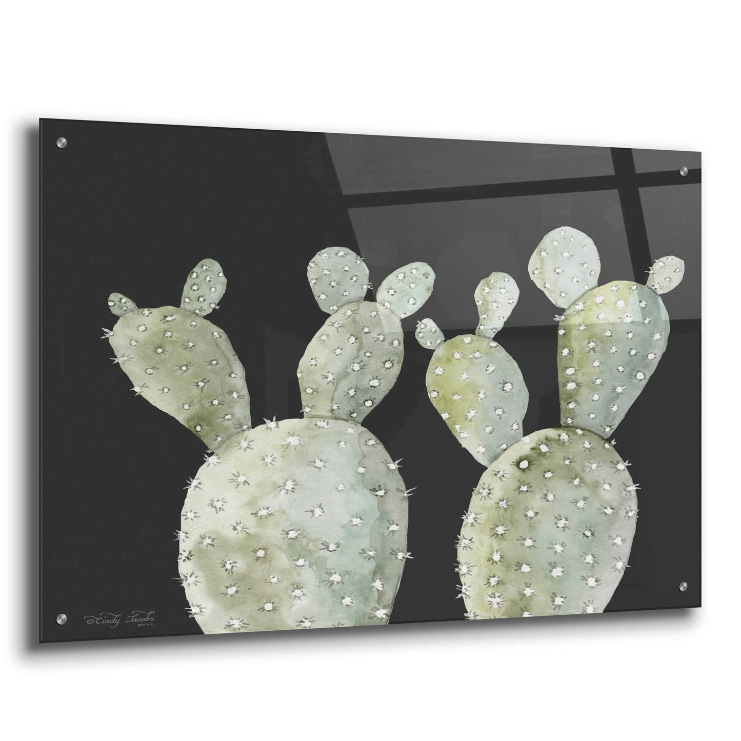 Epic Art 'Happy Cactus II' by Cindy Jacobs, Acrylic Glass Wall Art,36x24