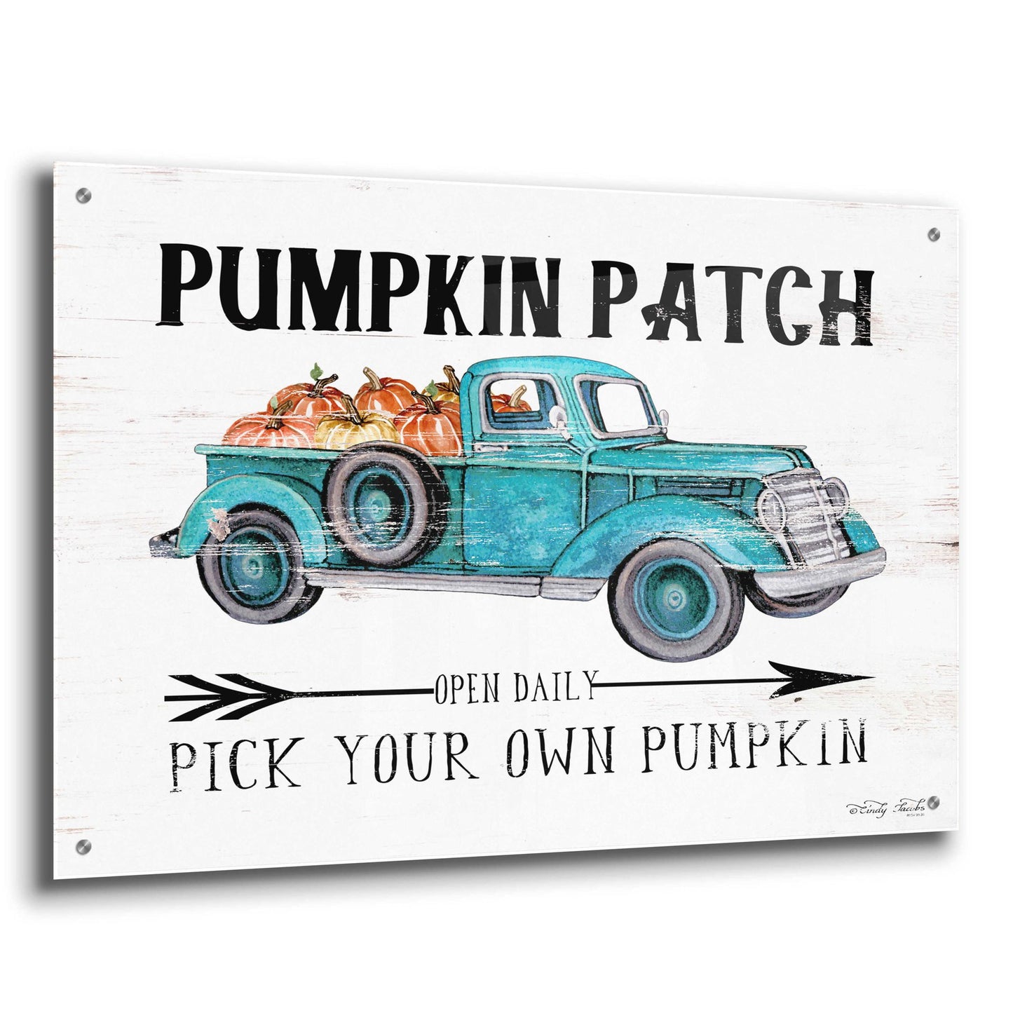 Epic Art 'Pumpkin Patch Open Daily' by Cindy Jacobs, Acrylic Glass Wall Art,36x24