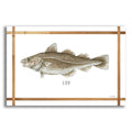 Cod on White by Cindy Jacobs acrylic glass wall art