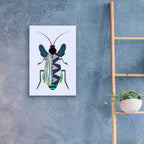 Beetle by Ayse - 16x24 acrylic wall art in a room