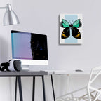 Butterfly by Ayse - 12x16 acrylic wall art in a room