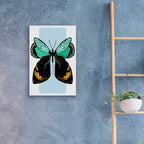 Butterfly by Ayse - 16x24 acrylic wall art in a room