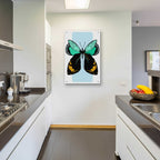 Butterfly by Ayse - 24x36 acrylic wall art in a room