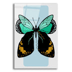 Butterfly by Ayse acrylic glass wall art