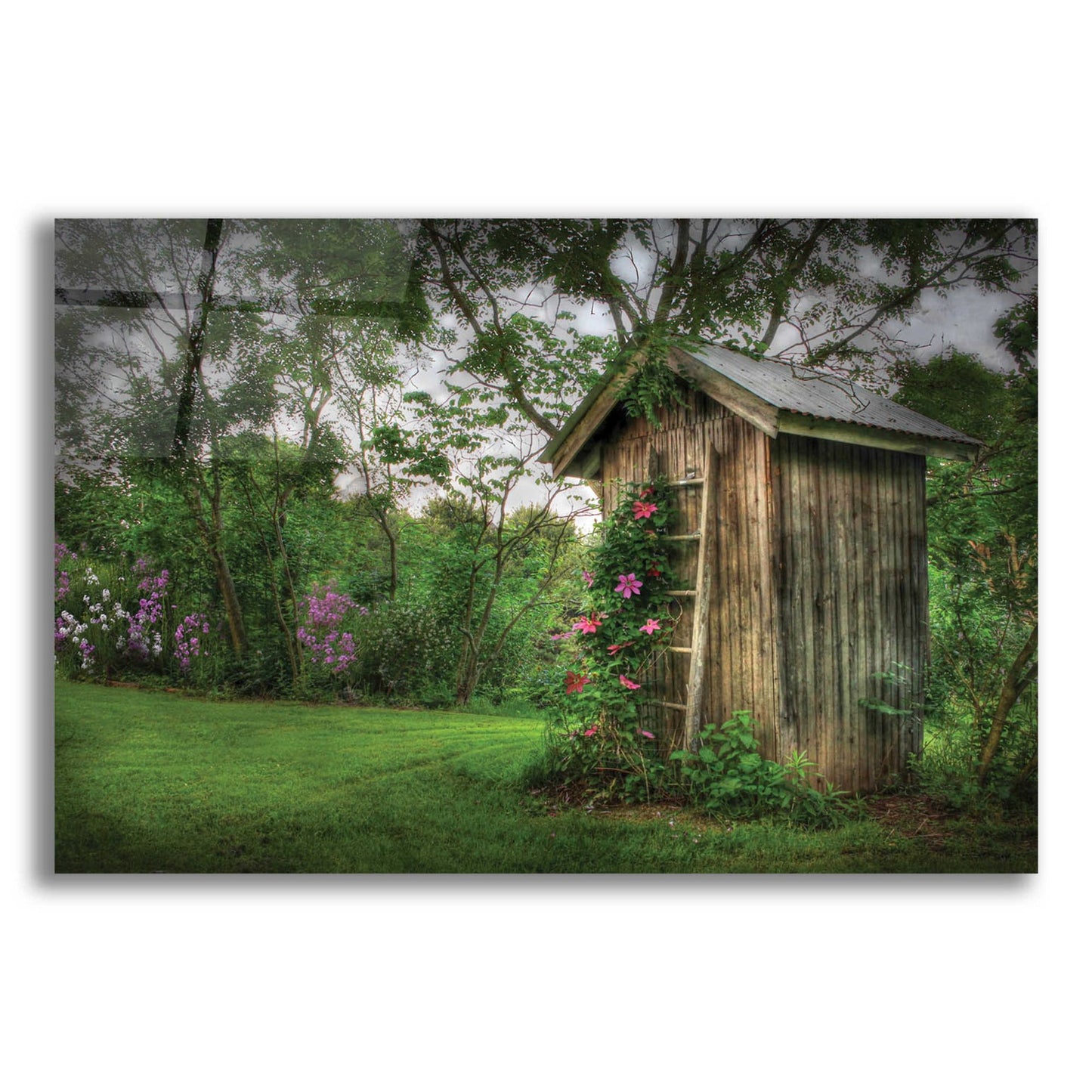 Epic Art 'Fragrant Outhouse' by Lori Deiter, Acrylic Glass Wall Art,24x16