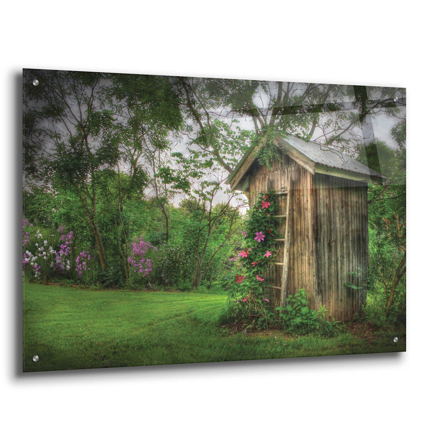 Epic Art 'Fragrant Outhouse' by Lori Deiter, Acrylic Glass Wall Art,36x24