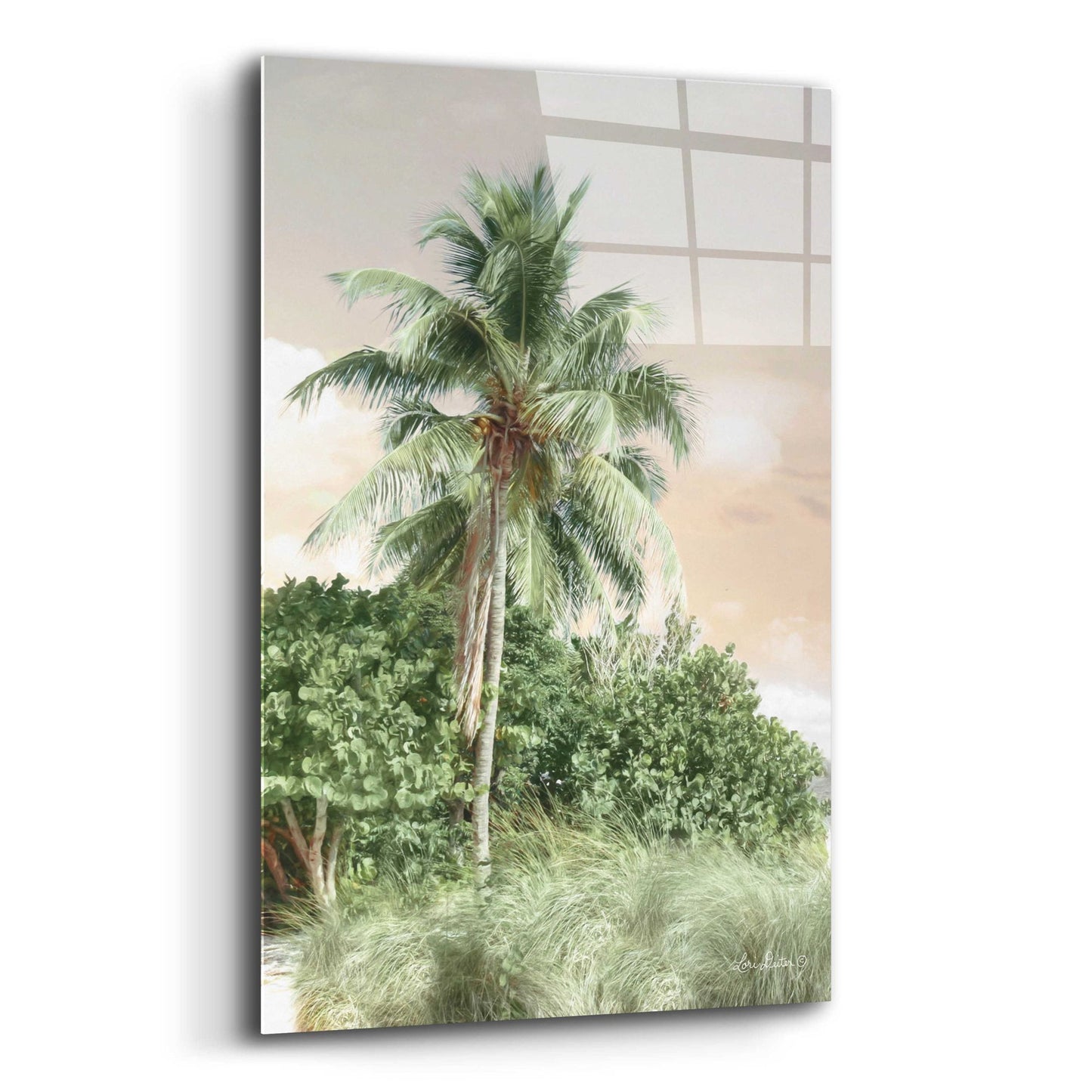 Epic Art 'Sanibel Island Palm' by Lori Deiter, Acrylic Glass Wall Art,12x16