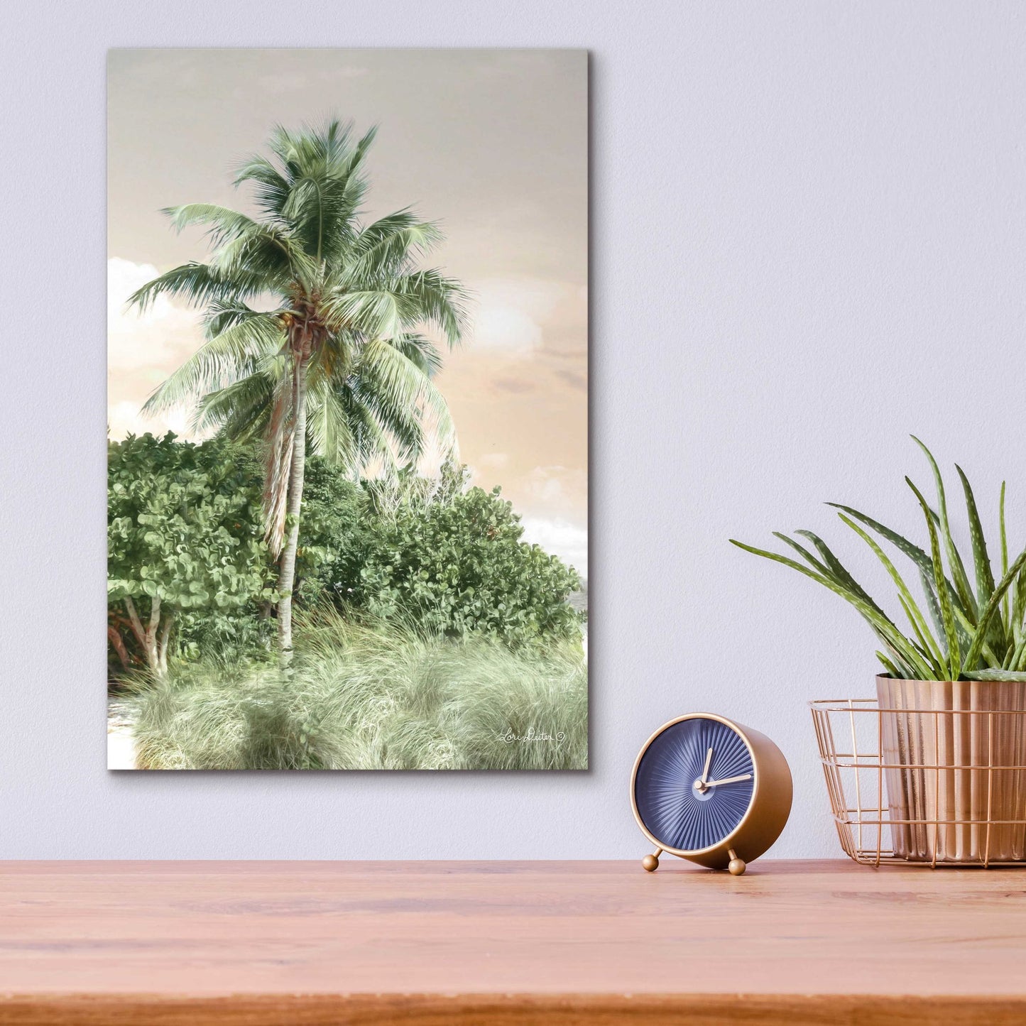 Epic Art 'Sanibel Island Palm' by Lori Deiter, Acrylic Glass Wall Art,12x16