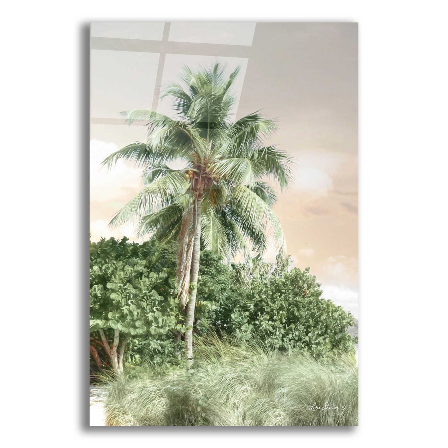 Epic Art 'Sanibel Island Palm' by Lori Deiter, Acrylic Glass Wall Art