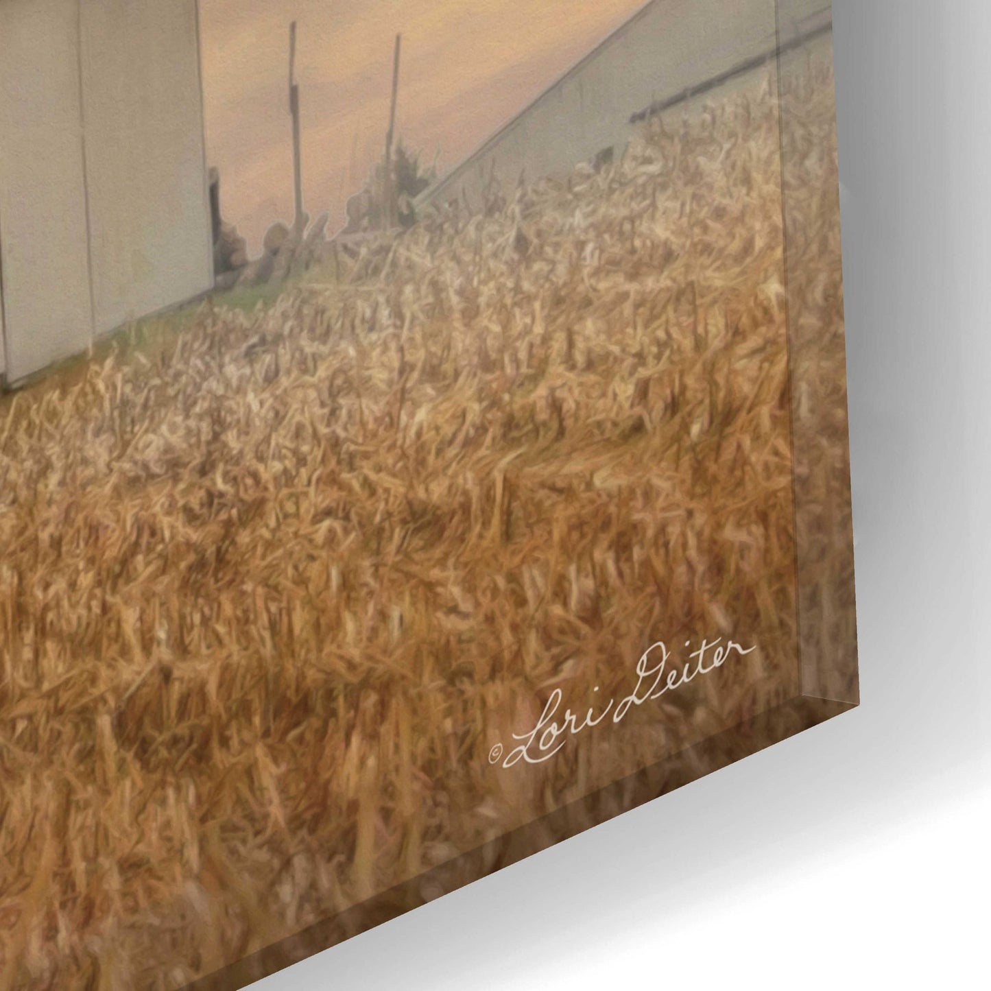 Epic Art 'American Farmland' by Lori Deiter, Acrylic Glass Wall Art,24x12