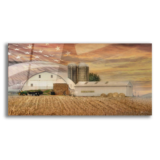 Epic Art 'American Farmland' by Lori Deiter, Acrylic Glass Wall Art,2:1