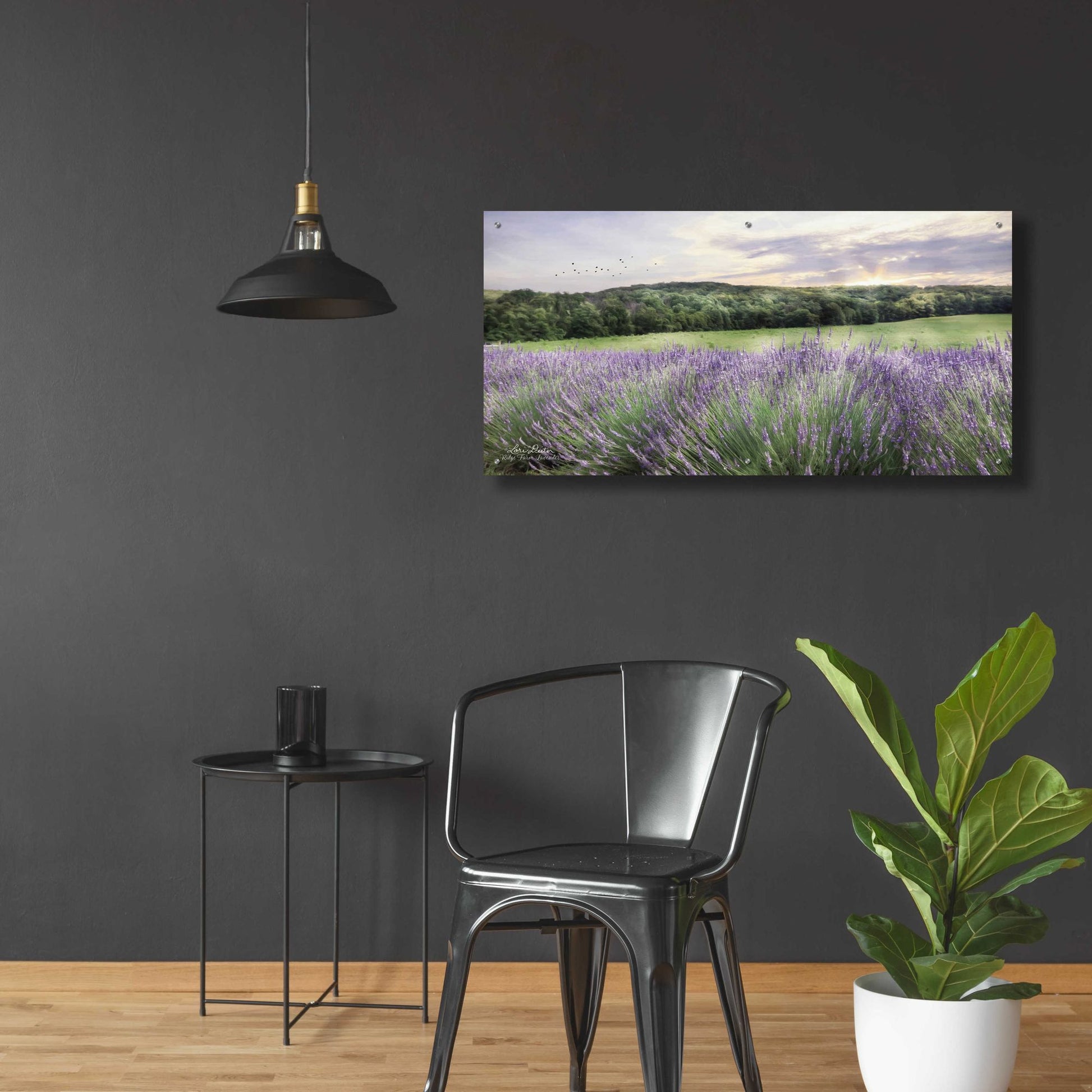 Epic Art 'Lavender Fields' by Lori Deiter, Acrylic Glass Wall Art,48x24