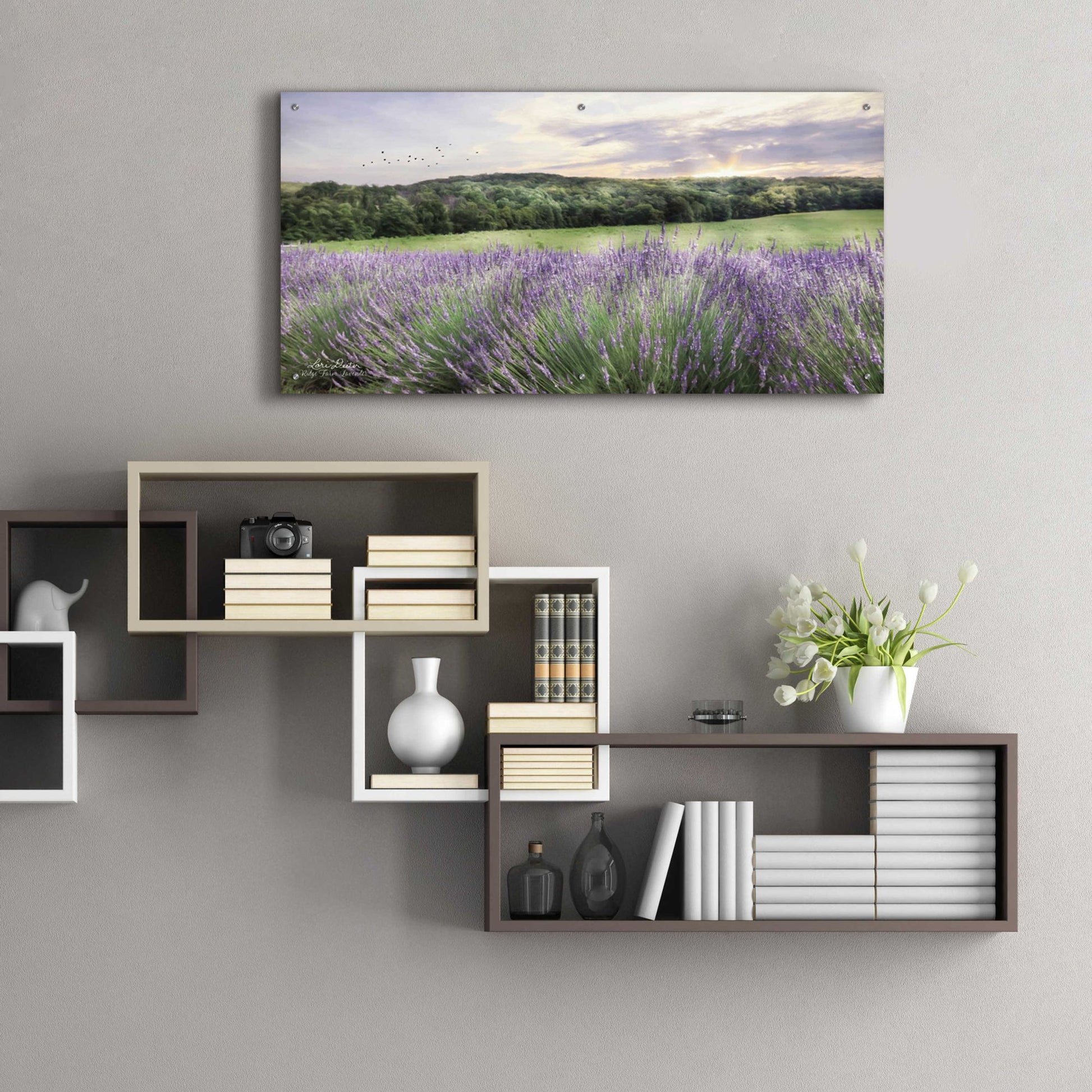 Epic Art 'Lavender Fields' by Lori Deiter, Acrylic Glass Wall Art,48x24