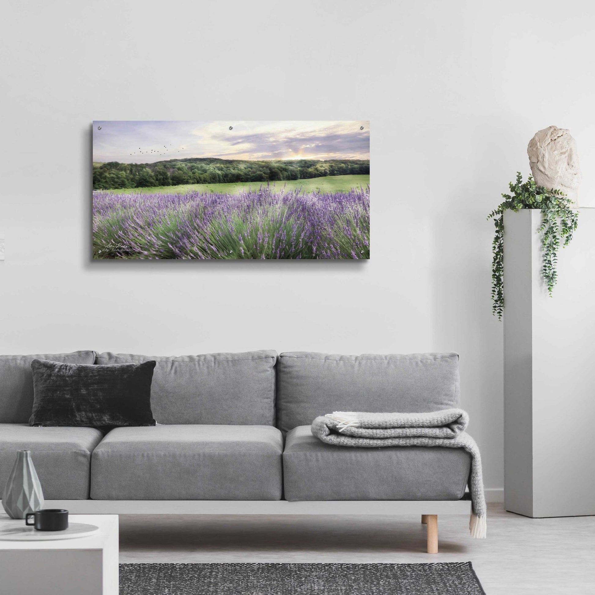 Epic Art 'Lavender Fields' by Lori Deiter, Acrylic Glass Wall Art,48x24