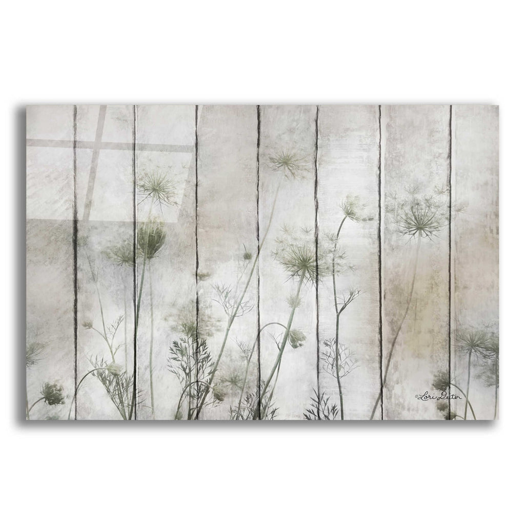 Epic Art 'Queen Anne' by Lori Deiter, Acrylic Glass Wall Art